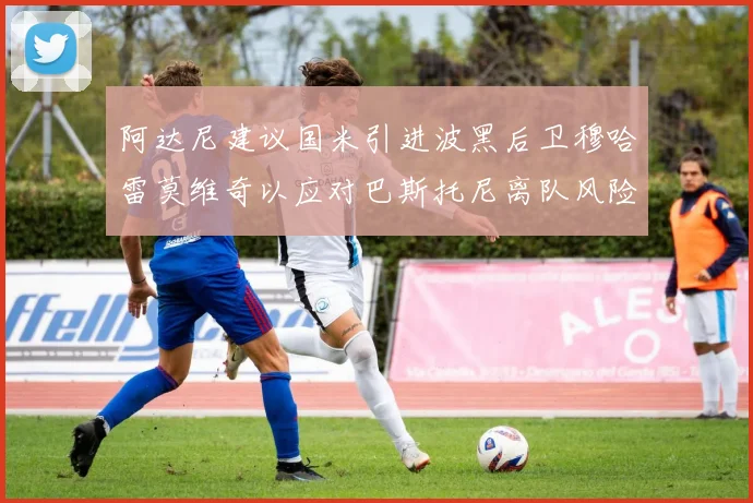 阿达尼建议国米引进波黑后卫穆哈雷莫维奇以应对巴斯托尼离队风险